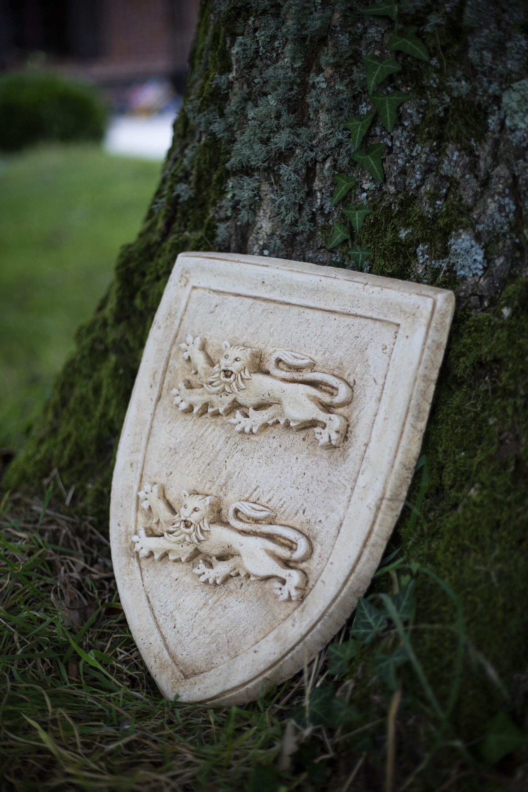 _MG_9586BIS2369 Blason médiébal en pierre